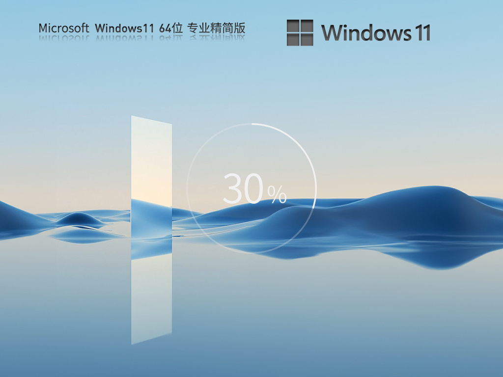 技术员联盟 Win11 22H2 64位 专业精简版