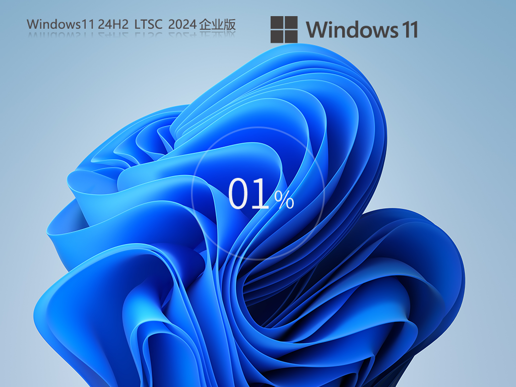 Windows11 24H2 LTSC 纯净企业版