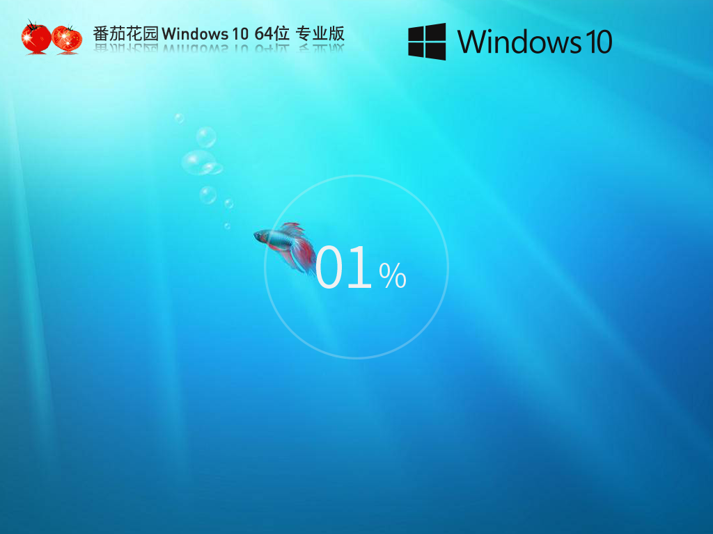 番茄花园Windows10官方专业版