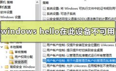 怎么解决Windows hello在此设备上不可用